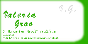 valeria groo business card